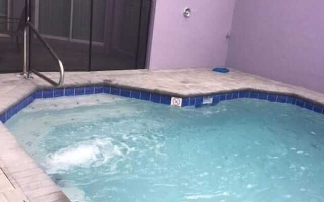 Lexington Vacations Champ by Stark Hosp