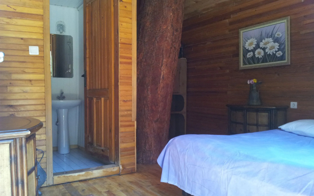 Kadir's Tree Houses