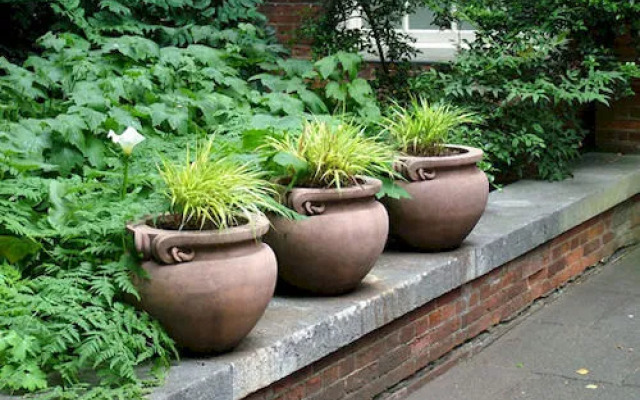 Rainbow Hotels & Service Apartments