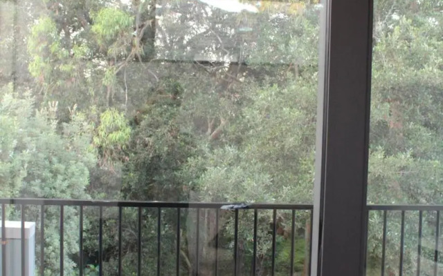 Bushland setting close to Sydney CBD- stand alone apartment
