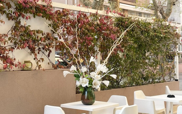 Hotel Little