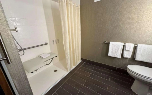 Skyline Hotel Detroit Airport, SureStay Collection by BW