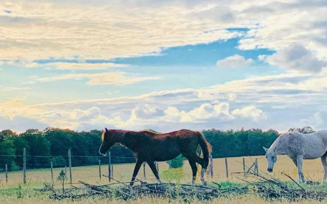 Zonnebos, private garden, fresh air, relax!