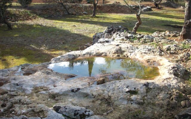 B&B Agri Gallipoli