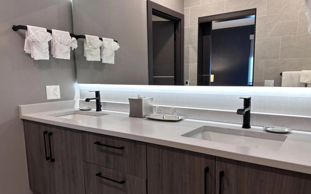 SpringHill Suites by Marriott Chicago Chinatown