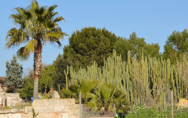 Agroturisme Son Llado