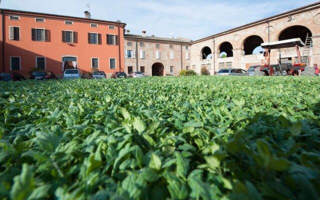 Agriturismo Arte Contadina