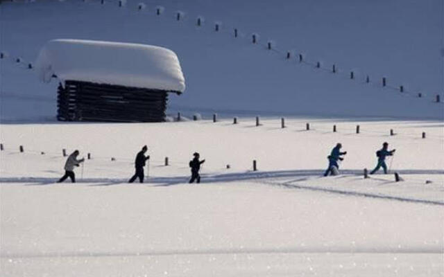 Alpen Chalet Jagdhof