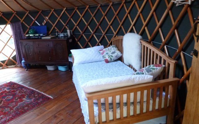 Aspen Yurt - Campsite