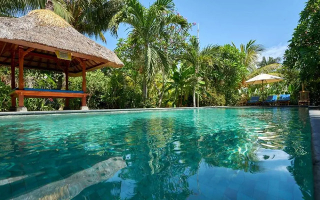 Pazzo Bali
