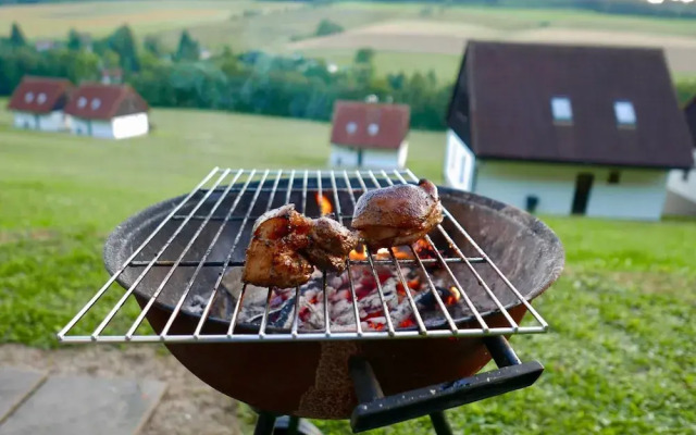 Mansion in Starkov Near Acitvities