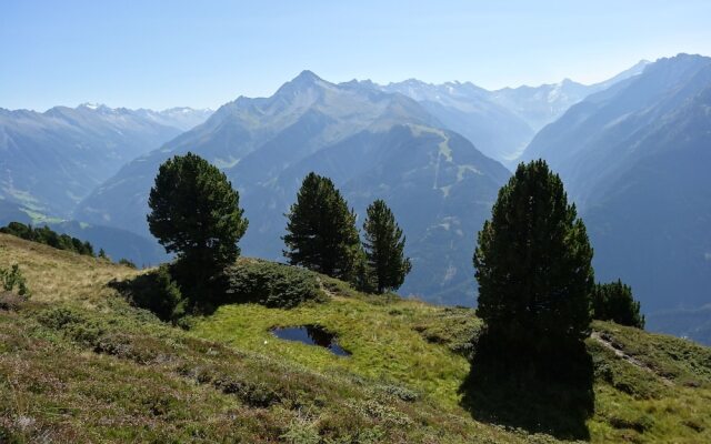 Scheulinghof