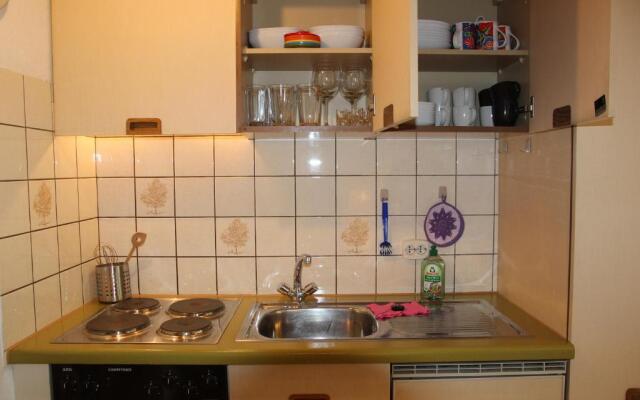 Steiert Panorama Apartments Todtnau