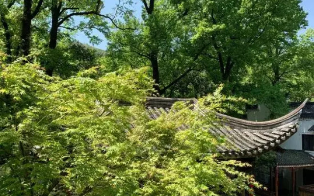 Wuyi Yangchun Shanju Guesthouse