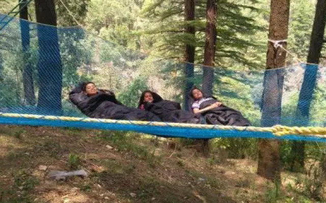 Northern Adventure Camp & Cottages