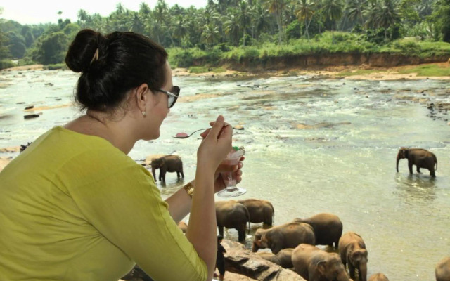 Hotel Elephant Park