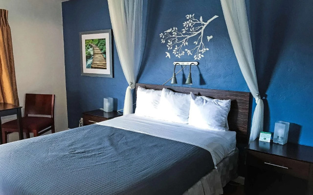 Americas Best Value Inn Golden Bear Inn