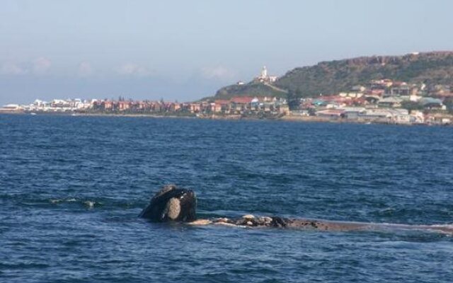 Jamaed Court Self-Catering Apartments