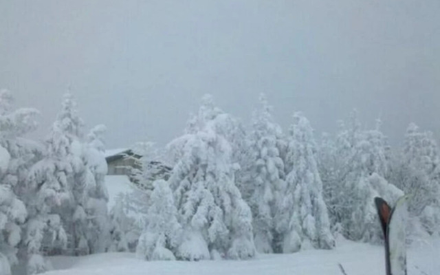 Inn At Mount Snow