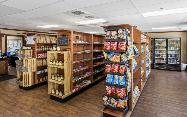 White Pines 1BD at Westgate