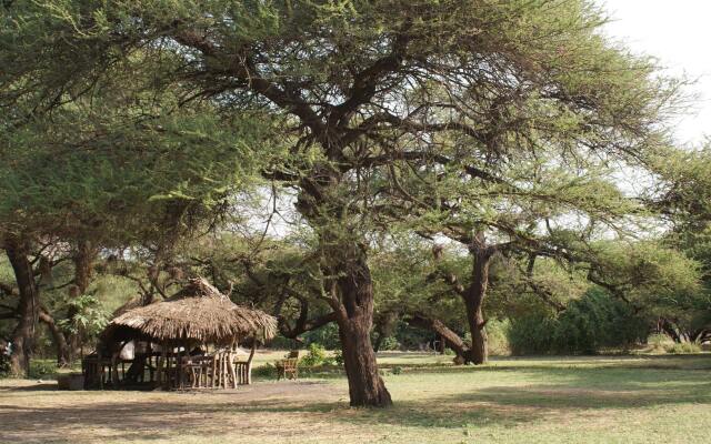 Lake Natron Tented Camp