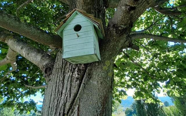 Wooden house Nela