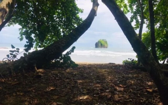 La Paz del Caribe
