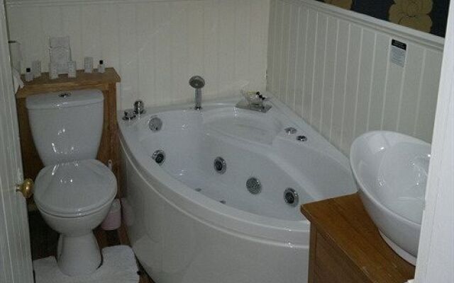 Plas Dolmelynllyn Country Hotel