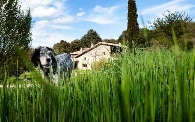 El Bosc del Quer