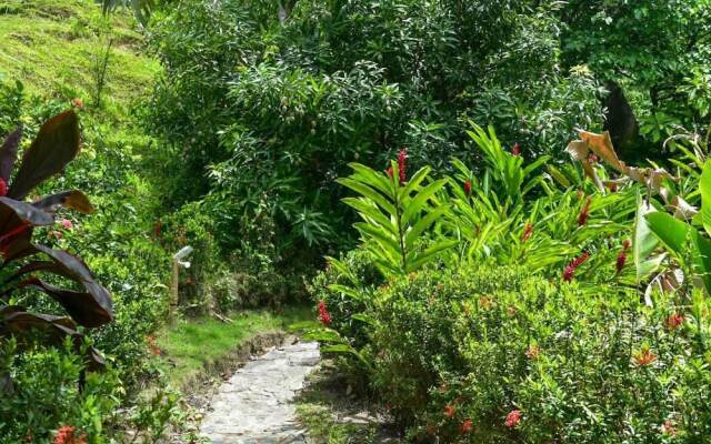 Ecohabs Bosques Del Tayrona