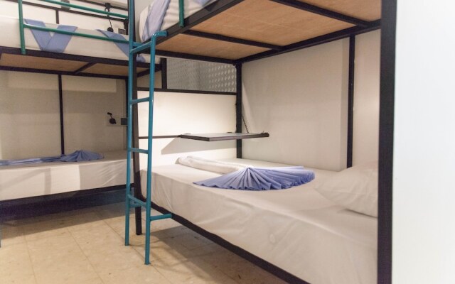 Bunky Monkey - Hostel