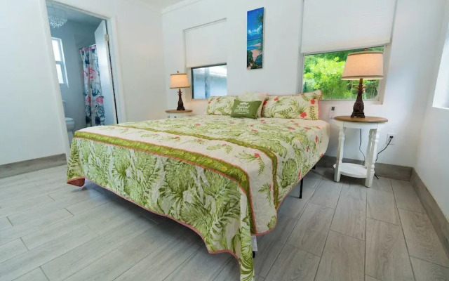 Caribbean Haven: Secluded Retreat With Stunning Ocean Views