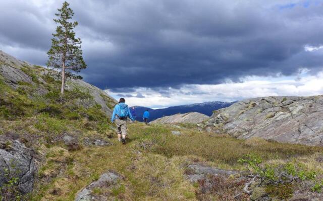 Velfjord camping & hytter