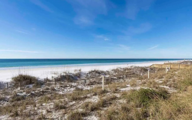 Destination Paradise