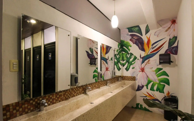 Hostal Gayser - Hostel