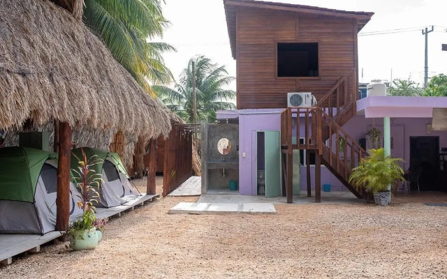 Mapache Hostel & Camping