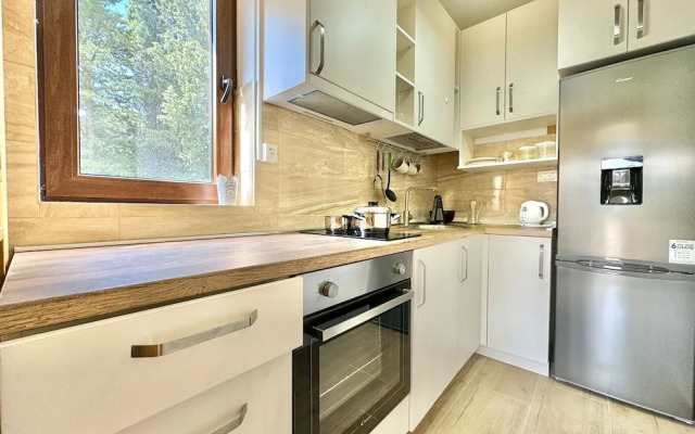 Central apartments Surina