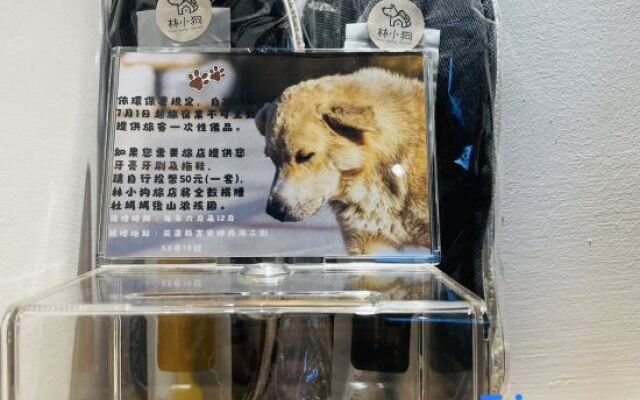 Paw-some Hostel
