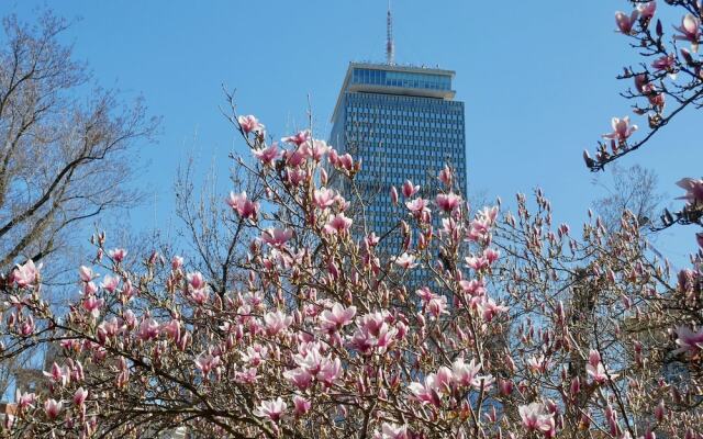 Relaxing One Bedroom Apartment in Back Bay, Boston