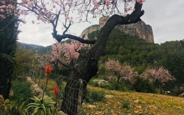 Boutique Villa Alaro