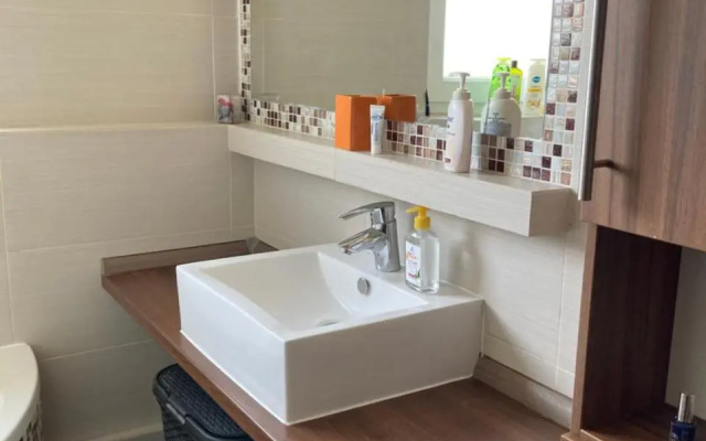 Apartment Safarikova