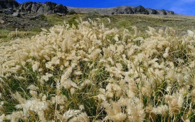 Estancia Miralejos Posada
