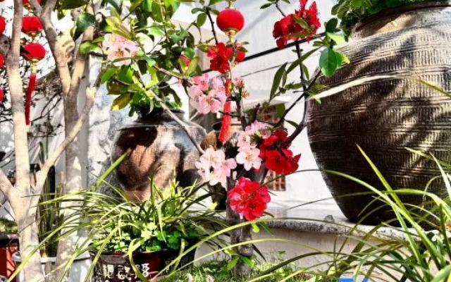 Rooftop Kejia Homestay