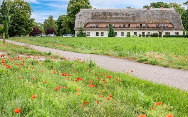 Awesome Apartment in Rechlin With 2 Bedrooms and Wifi