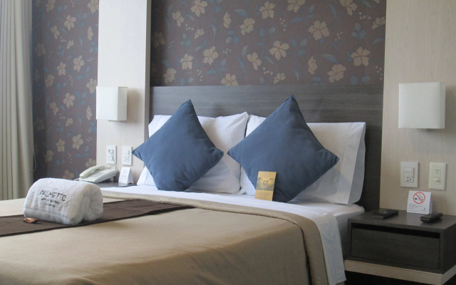 Palmetto Hotel Business San Miguel