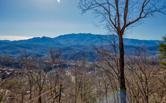 512blackbearlookspncb - Black Bear Lookout