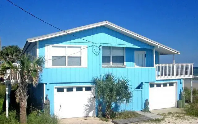 Blue Parrot