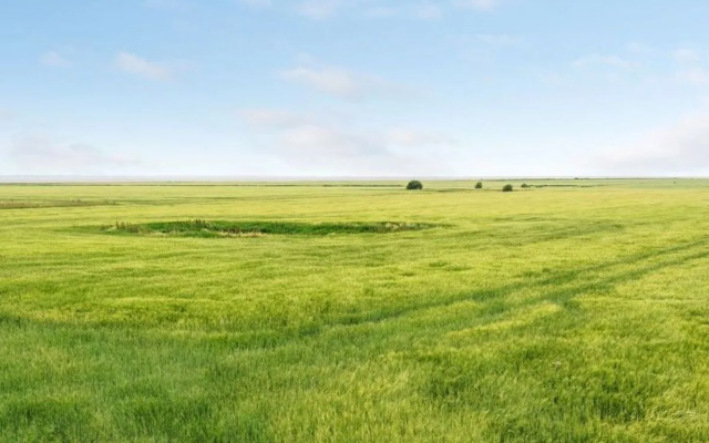 "Saga" in Western Jutland