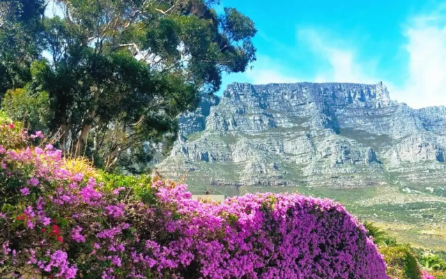 Disa Park Studio with Mountain Views