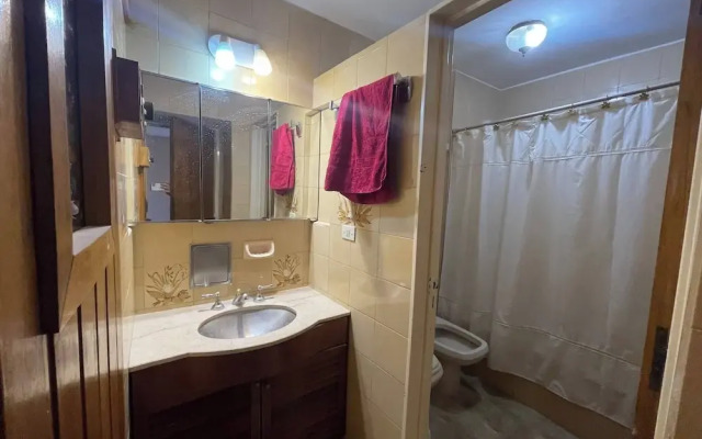 Splendid Apartment With Views in Palermo